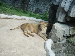 -北京野生动物园