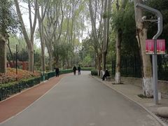 -西安市长乐公园