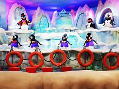 -帝企鹅自助餐厅•儿童岛•真企鹅(长隆企鹅酒店)