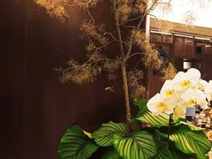 -二酉书店TOYOU BOOKS