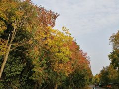 -上海海湾国家森林公园