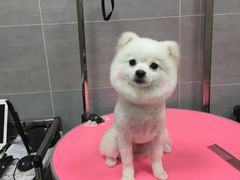 -宠福鑫康馨动物医院·骨科·眼科
