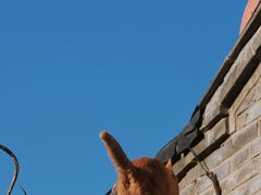 -VOYAGE COFFEE(杨梅竹店)