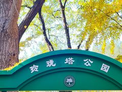 -玲珑塔公园