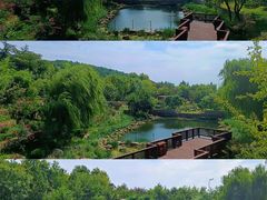 -竹子庵公园
