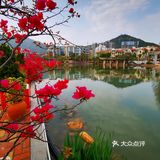 大梅沙奥特莱斯小记