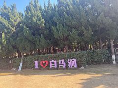 -白马涧龙池景区