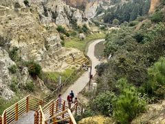 -彩色沙林风景区