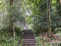 -龙井壹号·茶缘山景宴(龙井村店)