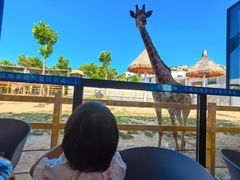 -西霞口神雕山野生动物世界