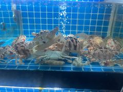 -佰园全日西餐厅-厦门佰翔软件园酒店