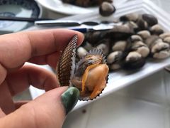 -胖大嫂渔家排档·全海景餐厅(渔村店)