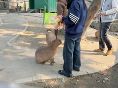 -成都欢乐谷
