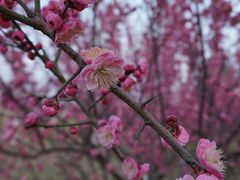 -汉长安城未央宫国家考古遗址公园