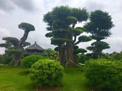 -南宁南湖公园