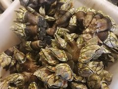 佛手-天天渔港海鲜酒家(石浦玉泉路店)