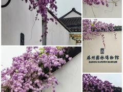 -拙政园