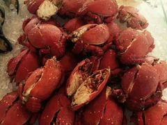 android_upload_pic-视界美食自助餐厅·石家庄希尔顿酒店