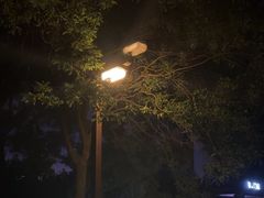 -大明宫国家遗址公园·御道广场