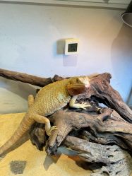 -Zoolung Zoolung动物主题公园(海信广场店)