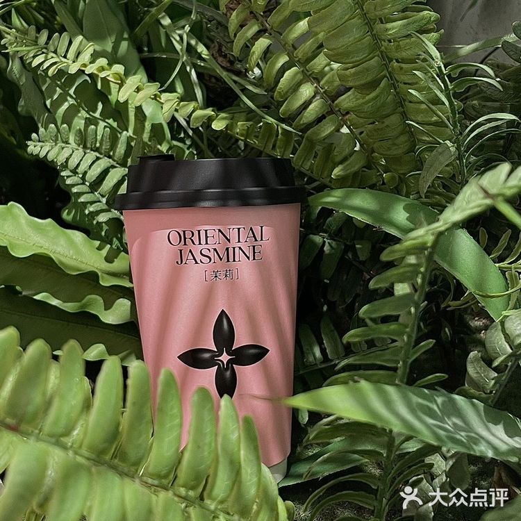 郑州️在正弘城️期待已久的茉莉奶白终于来了