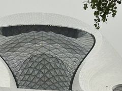 -哈尔滨大剧院