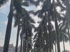 -顺峰山公园