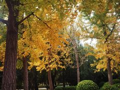 -元大都城垣遗址公园