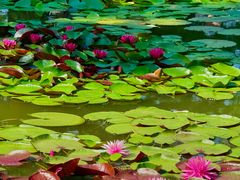 -国家植物园南园