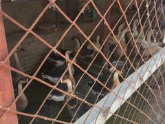 -鱼窝棚柴火铁锅炖(富山屯店)