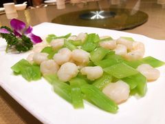 -红豆杉庄会议中心