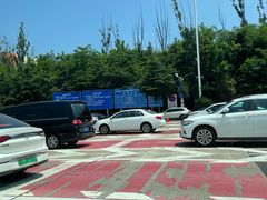 -胶州湾海底隧道