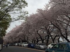 -名古屋城