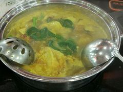 咖喱锅底-呷哺呷哺 黄金牧场 (回龙观港龙店)