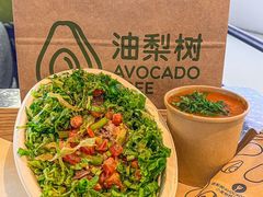 -油梨树AVOCADO TREE(嘉里中心店)