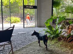 -J Create城市露营咖啡·简餐·宠物(上海动物园店)