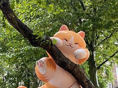 -西安电影制片厂