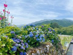 -白川乡与五箇山的合掌构造村落