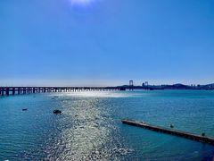 -星海湾跨海大桥