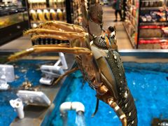 -盒马鲜生(领丰汇店)