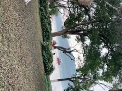 -西湖游船