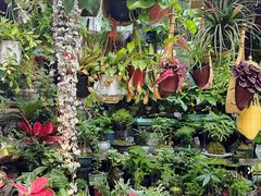 -青石桥花鸟鱼虫市场(叠翠城店)