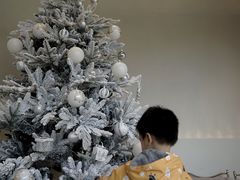 -J Create城市露营咖啡·简餐·宠物(上海动物园店)