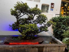 -怡得观滇餐厅·地道昆明菜·1996(海埂大坝店)