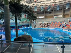 -海合安成都极地海洋公园