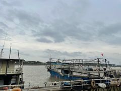 -大湾区中央湿地公园-十九涌