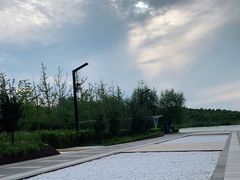-马家湾湿地公园