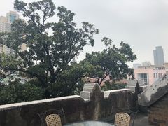 -大可堂普洱茶馆(襄阳南路馆)