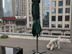 -百好乐宠物友好餐厅(朝外大街店)