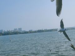 -蠡湖大桥公园